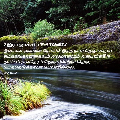 Picture 02 - 2 இராஜாக்கள் 19:3 TAMIRV - இவர்கள் அவனை - Bible Verse Picture