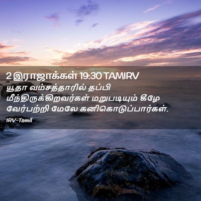Picture 02 - 2 இராஜாக்கள் 19:30 TAMIRV - யூதா வம்சத்தாரில் - Bible Verse Picture