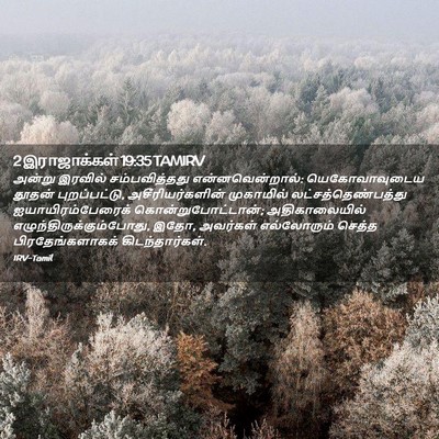Picture 02 - 2 இராஜாக்கள் 19:35 TAMIRV - அன்று இரவில் - Bible Verse Picture