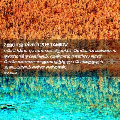 Picture 02 - 2 இராஜாக்கள் 20:8 TAMIRV - எசேக்கியா ஏசாயாவை - Bible Verse Picture