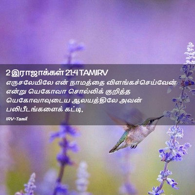 Picture 02 - 2 இராஜாக்கள் 21:4 TAMIRV - எருசலேமிலே என் - Bible Verse Picture