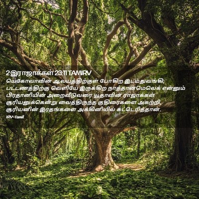 Picture 02 - 2 இராஜாக்கள் 23:11 TAMIRV - யெகோவாவின் - Bible Verse Picture