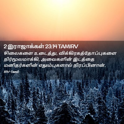 Picture 02 - 2 இராஜாக்கள் 23:14 TAMIRV - சிலைகளை உடைத்து, - Bible Verse Picture