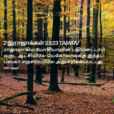 Picture 02 - 2 இராஜாக்கள் 23:23 TAMIRV - ராஜாவாகிய - Bible Verse Picture