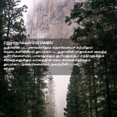 Picture 02 - 2 இராஜாக்கள் 23:5 TAMIRV - யூதாவின் - Bible Verse Picture
