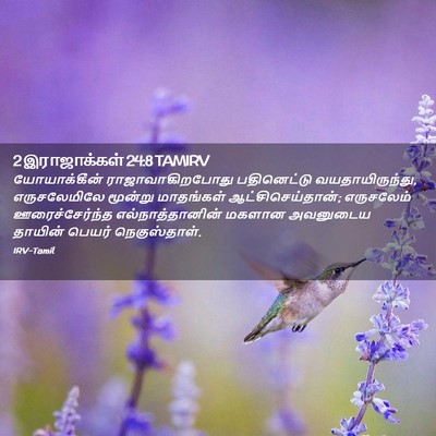 Picture 02 - 2 இராஜாக்கள் 24:8 TAMIRV - யோயாக்கீன் - Bible Verse Picture