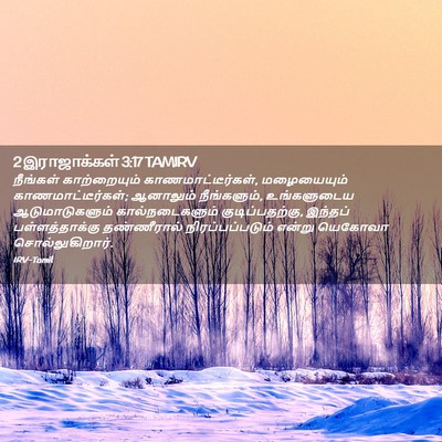 Picture 02 - 2 இராஜாக்கள் 3:17 TAMIRV - நீங்கள் - Bible Verse Picture