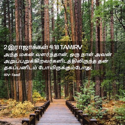 Picture 02 - 2 இராஜாக்கள் 4:18 TAMIRV - அந்த மகன் - Bible Verse Picture
