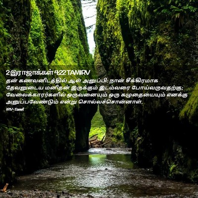 Picture 02 - 2 இராஜாக்கள் 4:22 TAMIRV - தன் கணவனிடத்தில் - Bible Verse Picture