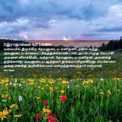 Picture 02 - 2 இராஜாக்கள் 4:27 TAMIRV - மலையில் இருக்கிற - Bible Verse Picture