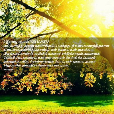 Picture 02 - 2 இராஜாக்கள் 4:29 TAMIRV - அப்பொழுது அவன் - Bible Verse Picture