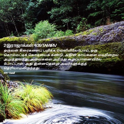 Picture 02 - 2 இராஜாக்கள் 4:39 TAMIRV - ஒருவன் கீரைகளைப் - Bible Verse Picture