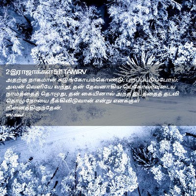 Picture 02 - 2 இராஜாக்கள் 5:11 TAMIRV - அதற்கு நாகமான் - Bible Verse Picture