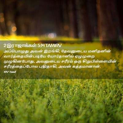Picture 02 - 2 இராஜாக்கள் 5:14 TAMIRV - அப்பொழுது அவன் - Bible Verse Picture