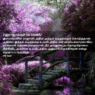 Picture 02 - 2 இராஜாக்கள் 5:6 TAMIRV - இஸ்ரவேலின் - Bible Verse Picture