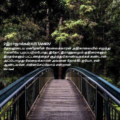 Picture 02 - 2 இராஜாக்கள் 6:15 TAMIRV - தேவனுடைய மனிதனின் - Bible Verse Picture
