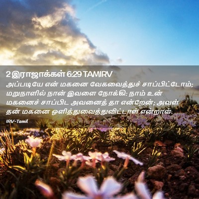 Picture 02 - 2 இராஜாக்கள் 6:29 TAMIRV - அப்படியே என் மகனை - Bible Verse Picture