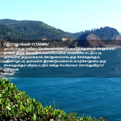 Picture 02 - 2 இராஜாக்கள் 7:1 TAMIRV - அப்பொழுது எலிசா: - Bible Verse Picture