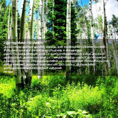 Picture 02 - 2 இராஜாக்கள் 7:12 TAMIRV - அப்பொழுது இராஜா - Bible Verse Picture