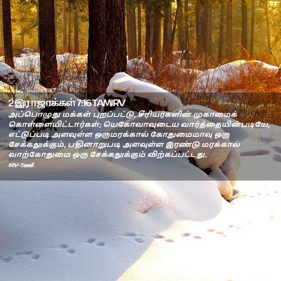 Picture 02 - 2 இராஜாக்கள் 7:16 TAMIRV - அப்பொழுது மக்கள் - Bible Verse Picture