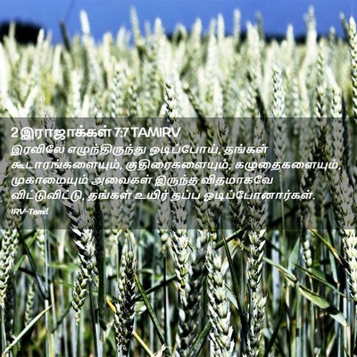 Picture 02 - 2 இராஜாக்கள் 7:7 TAMIRV - இரவிலே - Bible Verse Picture