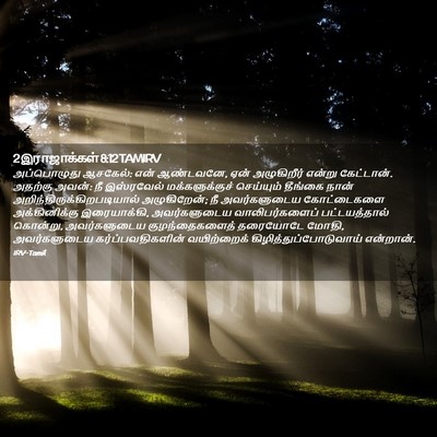 Picture 02 - 2 இராஜாக்கள் 8:12 TAMIRV - அப்பொழுது ஆசகேல்: - Bible Verse Picture