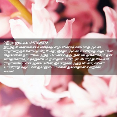 Picture 02 - 2 இராஜாக்கள் 8:5 TAMIRV - இறந்துபோனவனை - Bible Verse Picture