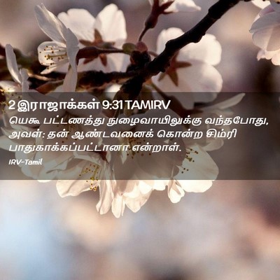 Picture 02 - 2 இராஜாக்கள் 9:31 TAMIRV - யெகூ பட்டணத்து - Bible Verse Picture