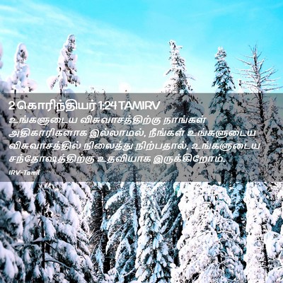 Picture 02 - 2 கொரிந்தியர் 1:24 TAMIRV - உங்களுடைய - Bible Verse Picture