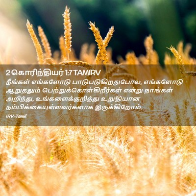 Picture 02 - 2 கொரிந்தியர் 1:7 TAMIRV - நீங்கள் எங்களோடு - Bible Verse Picture