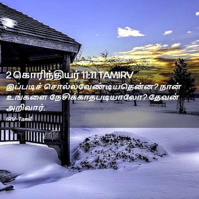 Picture 02 - 2 கொரிந்தியர் 11:11 TAMIRV - இப்படிச் - Bible Verse Picture