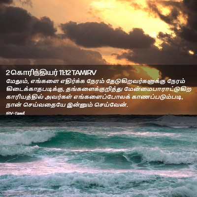 Picture 02 - 2 கொரிந்தியர் 11:12 TAMIRV - மேலும், எங்களை - Bible Verse Picture