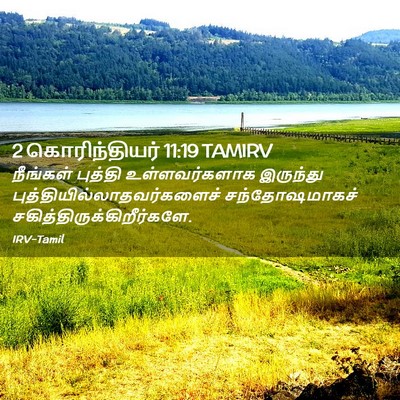 Picture 02 - 2 கொரிந்தியர் 11:19 TAMIRV - நீங்கள் புத்தி - Bible Verse Picture
