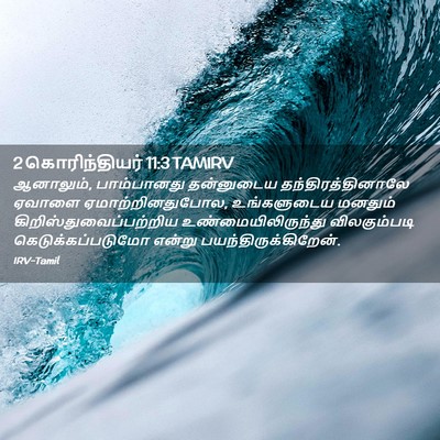 Picture 02 - 2 கொரிந்தியர் 11:3 TAMIRV - ஆனாலும், - Bible Verse Picture