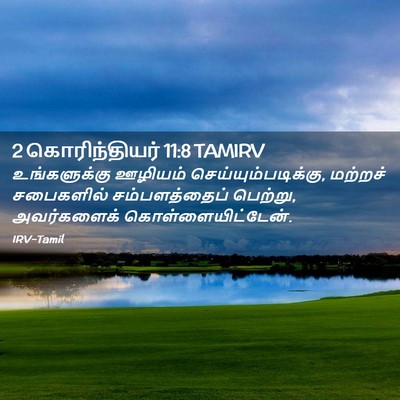 Picture 02 - 2 கொரிந்தியர் 11:8 TAMIRV - உங்களுக்கு ஊழியம் - Bible Verse Picture