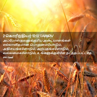 Picture 02 - 2 கொரிந்தியர் 12:12 TAMIRV -  - Bible Verse Picture