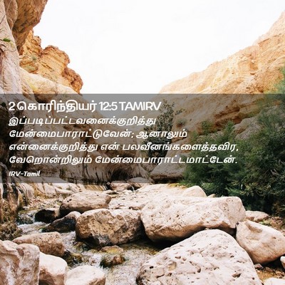 Picture 02 - 2 கொரிந்தியர் 12:5 TAMIRV -  - Bible Verse Picture