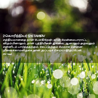 Picture 02 - 2 கொரிந்தியர் 12:6 TAMIRV - சத்தியமானதை நான் - Bible Verse Picture