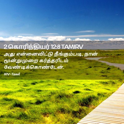 Picture 02 - 2 கொரிந்தியர் 12:8 TAMIRV - அது என்னைவிட்டு - Bible Verse Picture