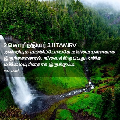 Picture 02 - 2 கொரிந்தியர் 3:11 TAMIRV - அன்றியும் - Bible Verse Picture