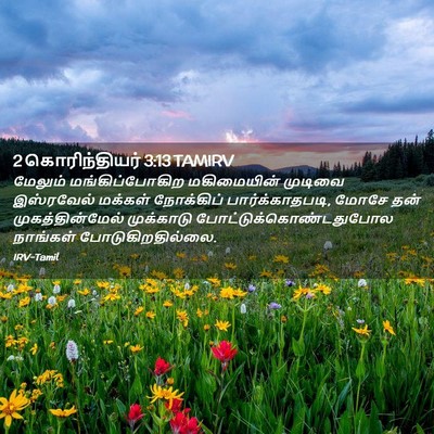 Picture 02 - 2 கொரிந்தியர் 3:13 TAMIRV - மேலும் - Bible Verse Picture