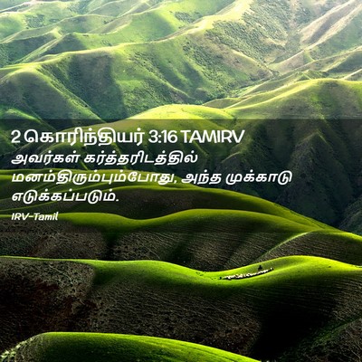 Picture 02 - 2 கொரிந்தியர் 3:16 TAMIRV - அவர்கள் - Bible Verse Picture