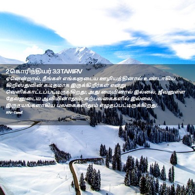 Picture 02 - 2 கொரிந்தியர் 3:3 TAMIRV - ஏனென்றால், - Bible Verse Picture