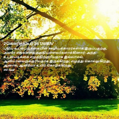 Picture 02 - 2 கொரிந்தியர் 3:6 TAMIRV - புதிய - Bible Verse Picture
