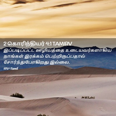 Picture 02 - 2 கொரிந்தியர் 4:1 TAMIRV - இப்படிப்பட்ட - Bible Verse Picture