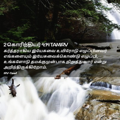 Picture 02 - 2 கொரிந்தியர் 4:14 TAMIRV - கர்த்தராகிய - Bible Verse Picture
