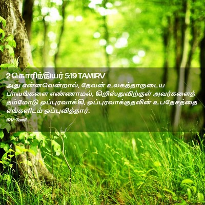 Picture 02 - 2 கொரிந்தியர் 5:19 TAMIRV - அது என்னவென்றால், - Bible Verse Picture