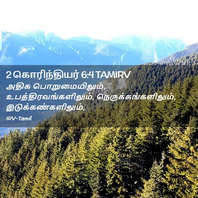 Picture 02 - 2 கொரிந்தியர் 6:4 TAMIRV - அதிக - Bible Verse Picture