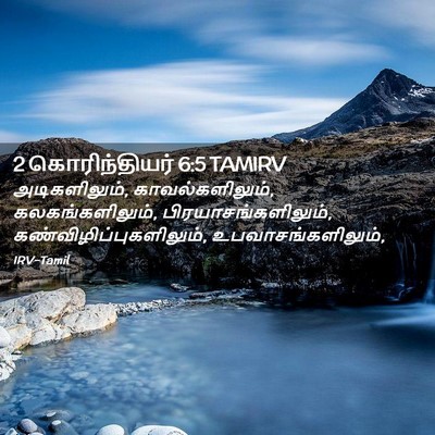 Picture 02 - 2 கொரிந்தியர் 6:5 TAMIRV - அடிகளிலும், - Bible Verse Picture