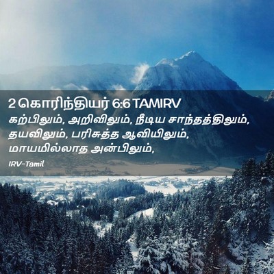 Picture 02 - 2 கொரிந்தியர் 6:6 TAMIRV - கற்பிலும், - Bible Verse Picture